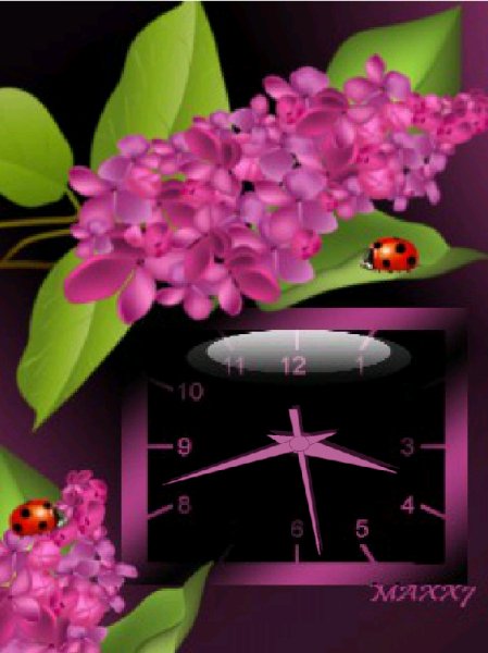 Lilac color