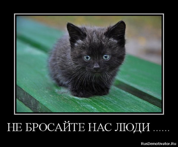 Не бросайте нас, люди