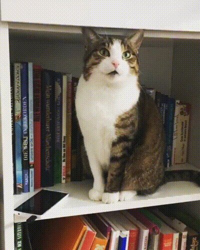 ))