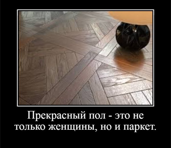 Прекрасный пол - это не только женщины, но и паркет