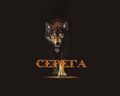 СЕРГЕЙ. .