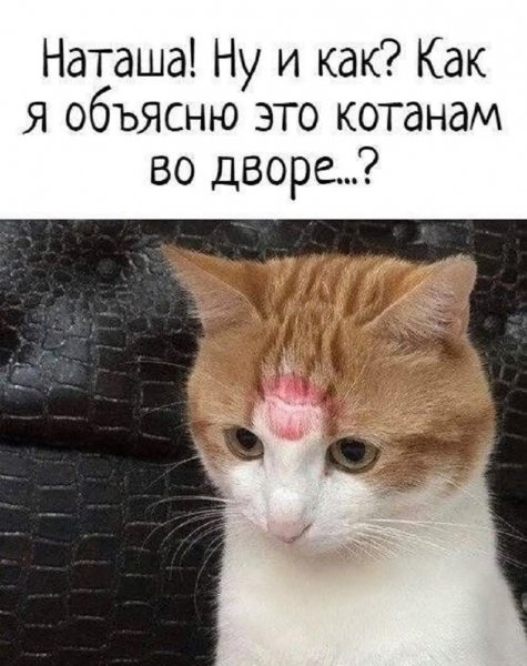 FB IMG 1778268544536