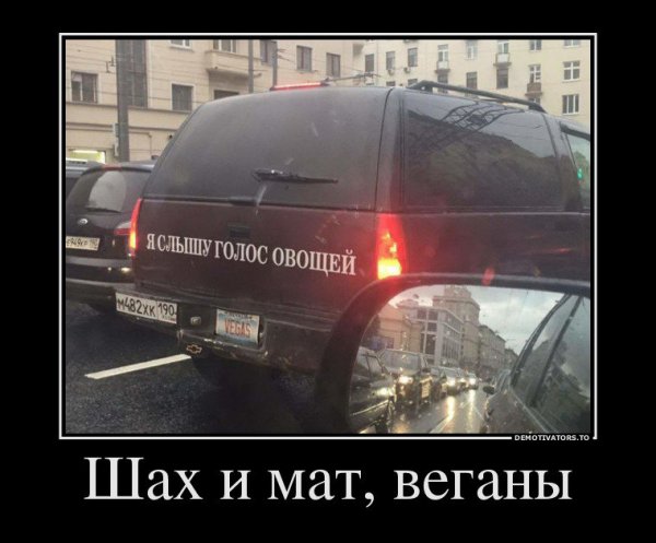 демотиватор смешнойщжщжзщжзщ