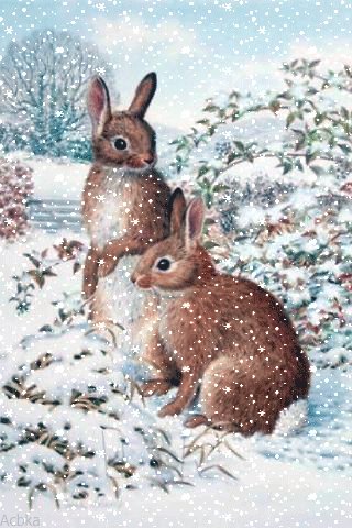 file_76114329