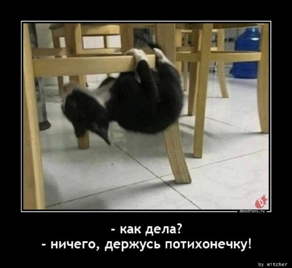 Как дела?