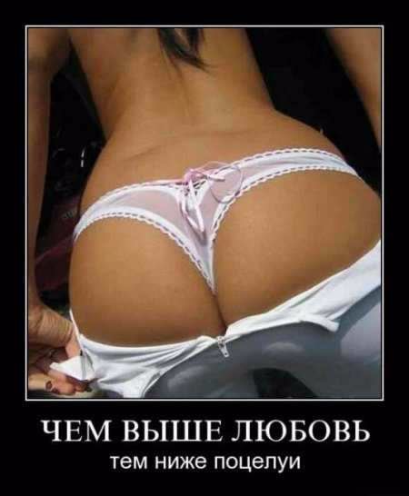 file_74511523