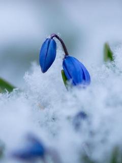 file_61994402