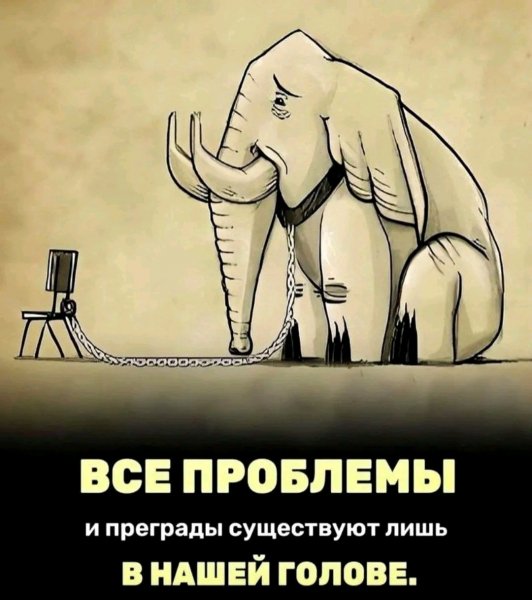 file_95838665