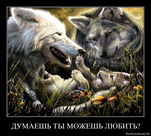 ВОЛКИ