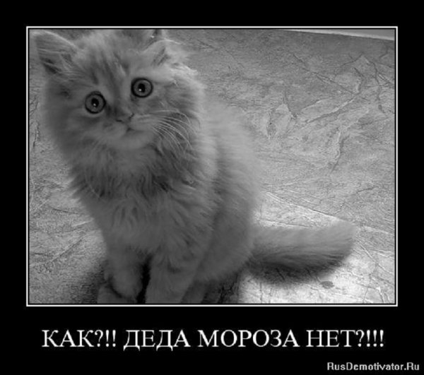Как, Деда Мороза нет?