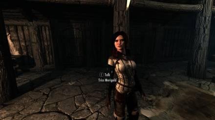 A Triss Companion1.2
