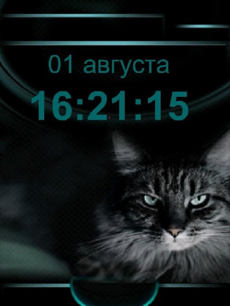 Кот