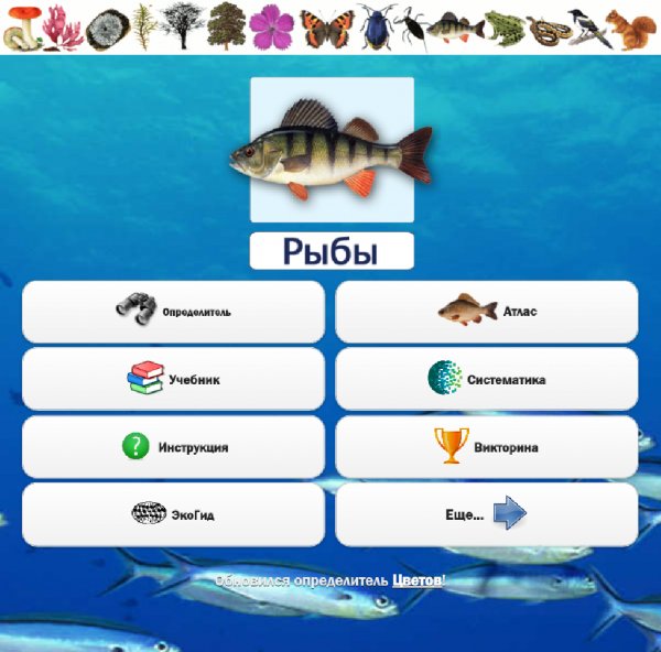 Рыбы 3.02