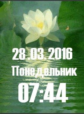 Лотос анимация