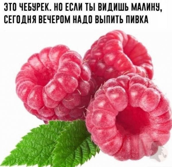 FB IMG 1778838101969