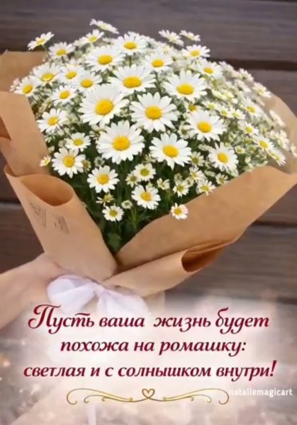 IMG 20260409 183306
