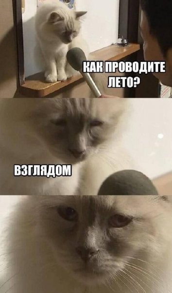 IMG 20260901 110030 909