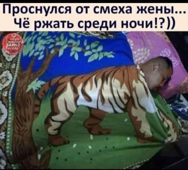 FB IMG 1778146883999