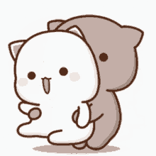 Swing-grey-cat