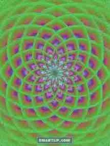 DigitalLotus.v2.0