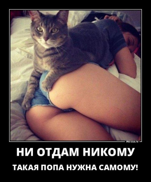 file_78780867