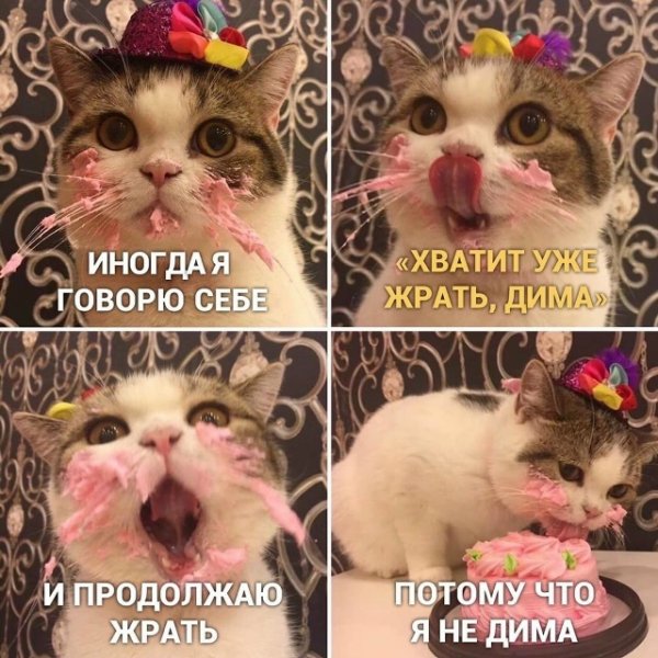 file_102663125
