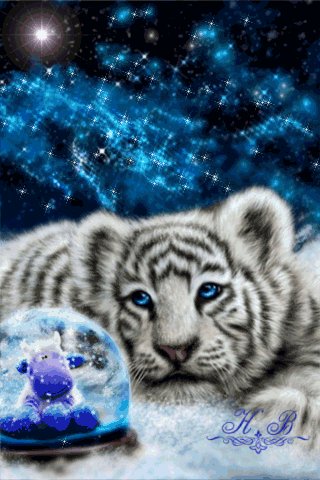 file_55445555