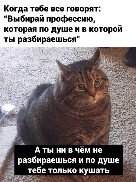 file_102398273