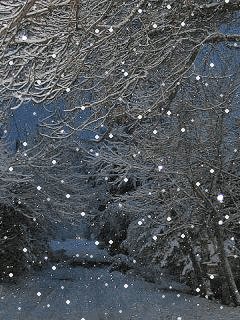 зима