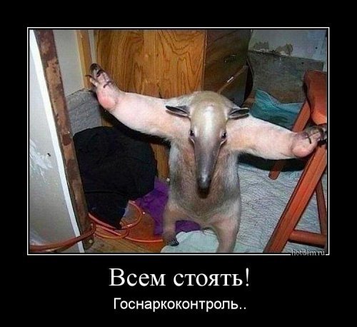 demotivatory-9