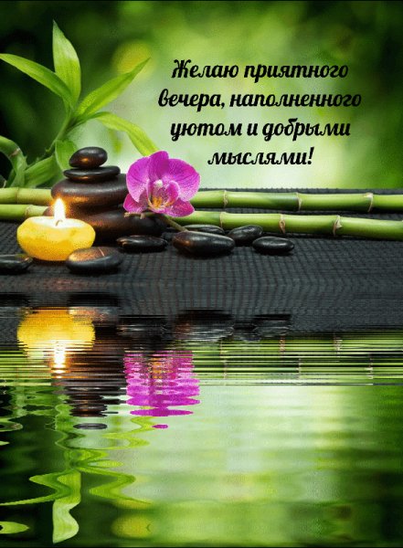 Добрый вечер