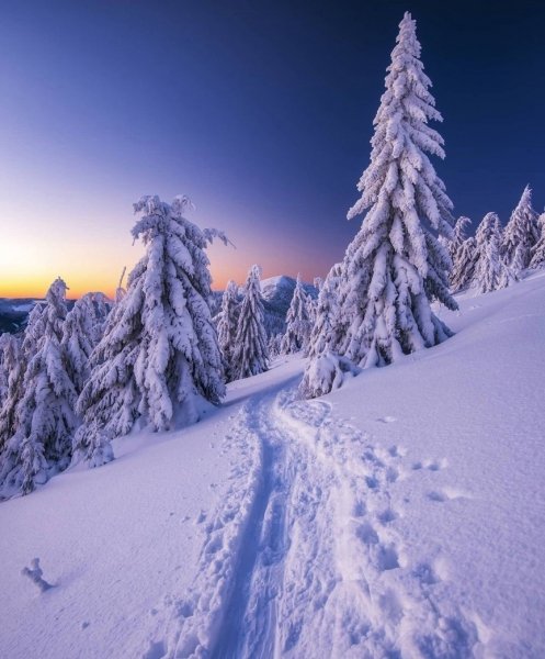 file_101722783