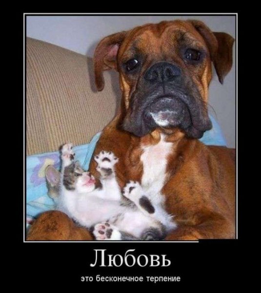 бесконечное терпение