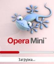 Lizard by Storm