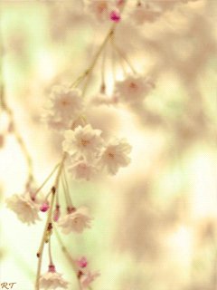 file_47216721