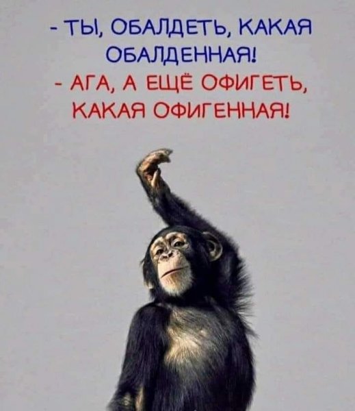 FB IMG 1778184937418