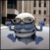 Crazy-frog в Израиле