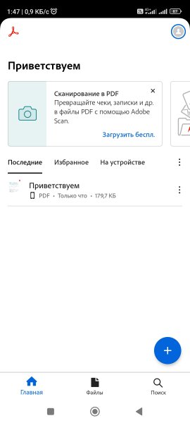 Adobe Acrobat Reader 24.9.2.35569 Pro
