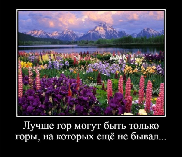 Лучше гор могут быть только горы, на которых ещё не бывал...