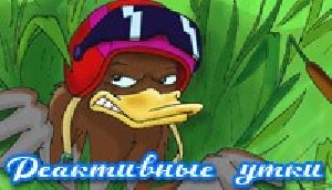 jet ducks rus