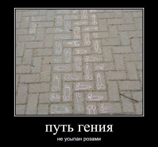 IMG 20240220 164632 507