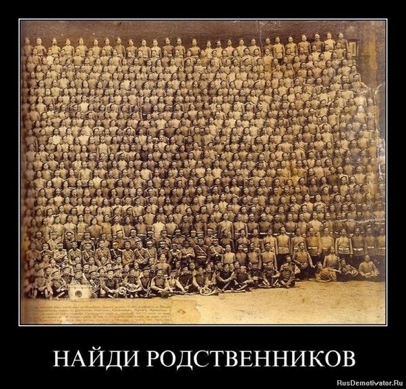 Найди родственников