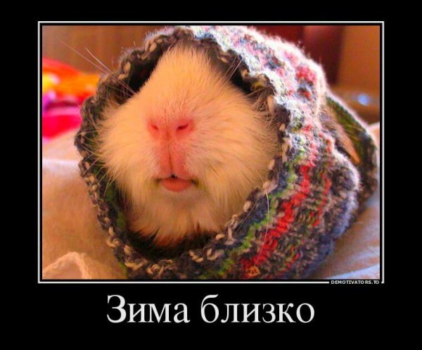 IMG 20191013 095523 823