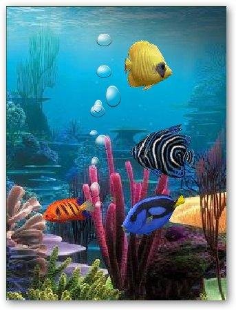 Aquarium 5