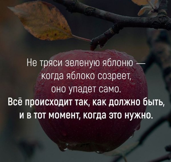 Своё время