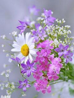 file_58303435