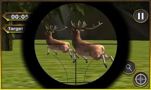 Hunting Jungle Animals v1 2