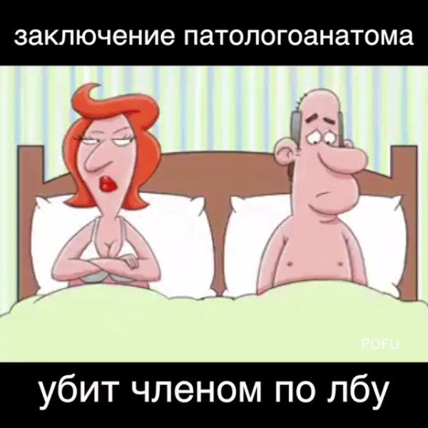 IMG 20260405 034829
