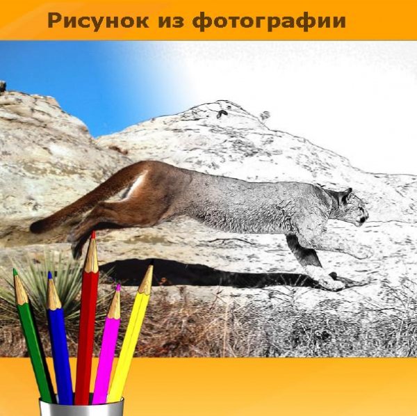 Sketch v.11.0.2148