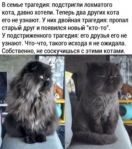 file_102317005